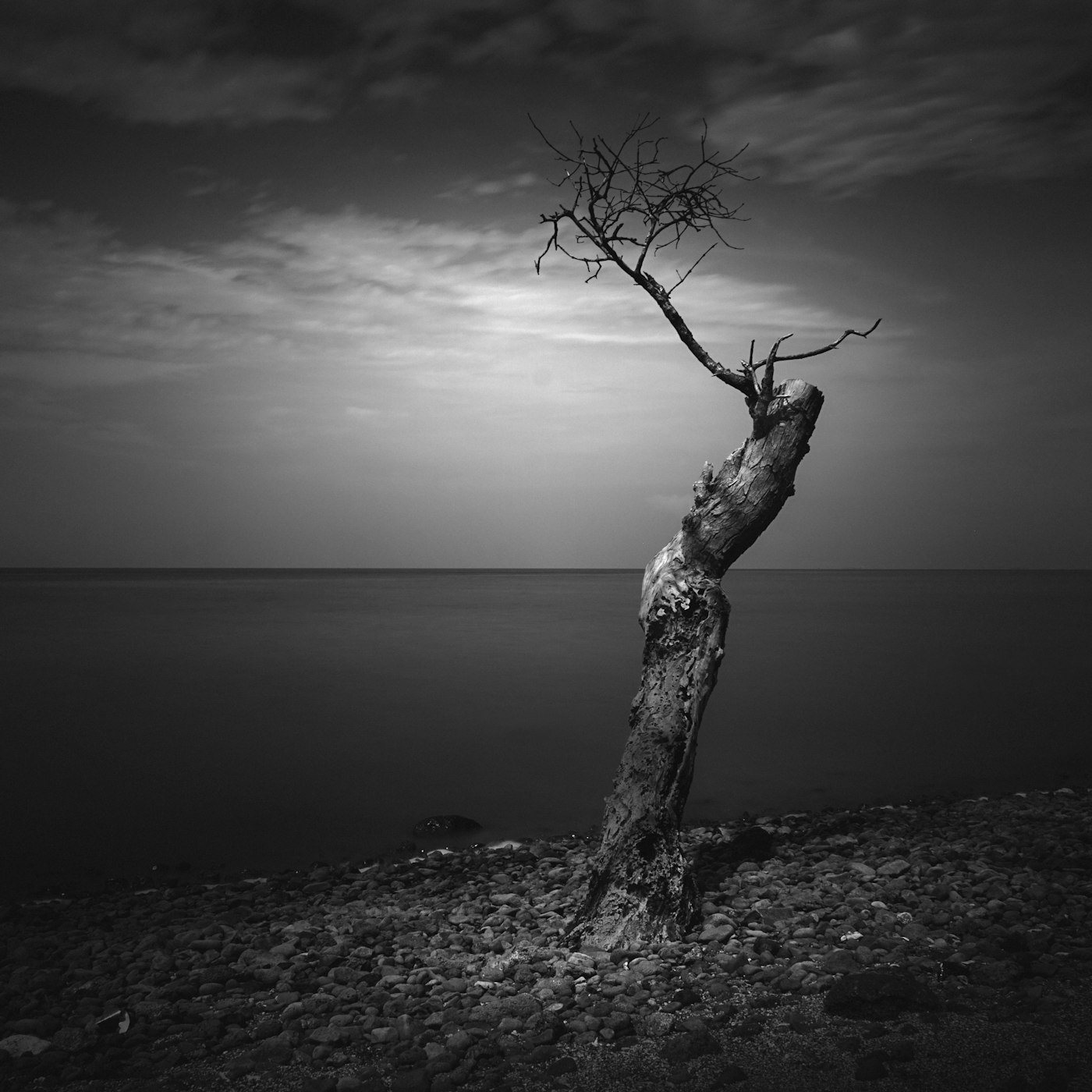 Tirages photographiques fine art présentés dans une galerie